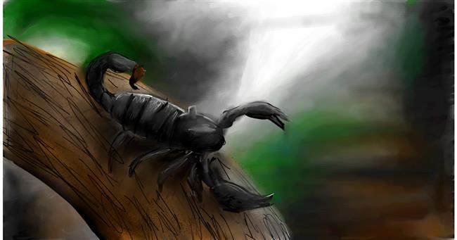 Drawing of Scorpion by Mia