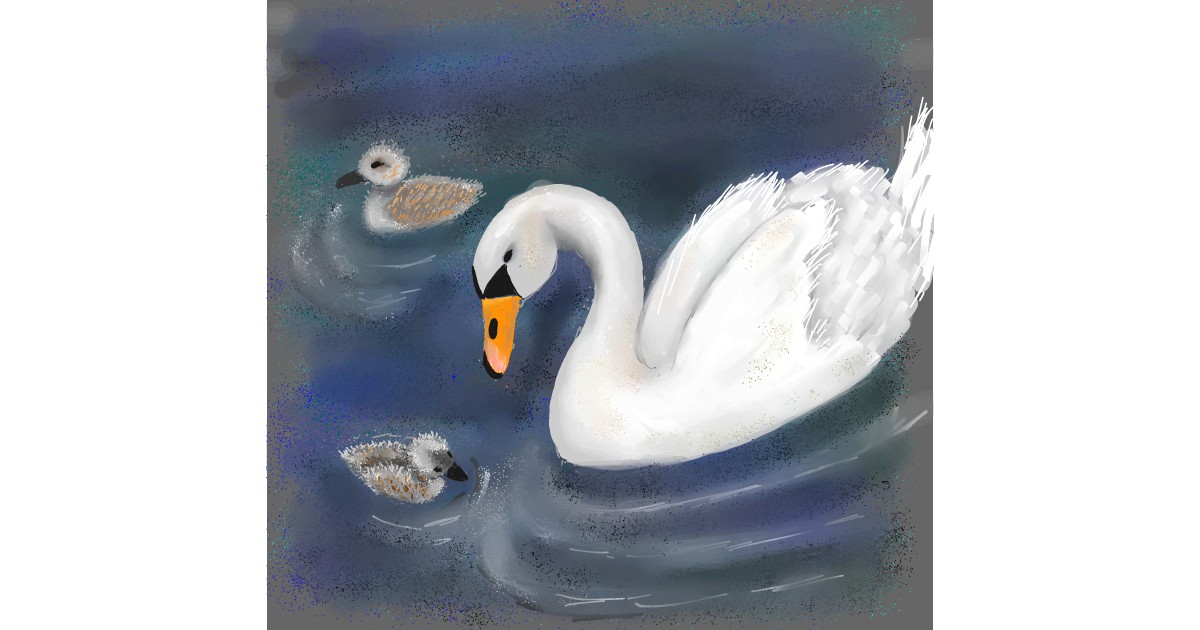 Schwan Zeichnung von Andromeda - Drawize Galerie!