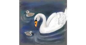 Drawing of Swan by Andromeda