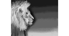 Drawing of Lion by ELLE