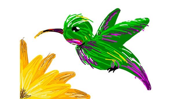 Drawing of Hummingbird by Ur Mom