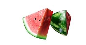 Drawing of Watermelon by Jan