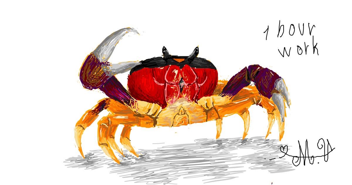 Drawing of Crab by Numi