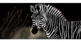 Drawing of Zebra by Chaching