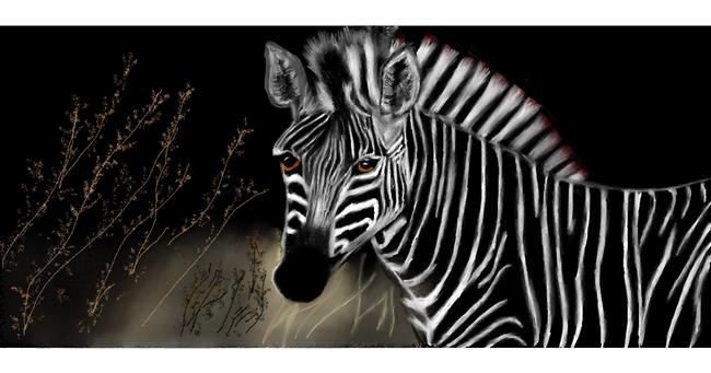 Zebra-Zeichnung von Chaching