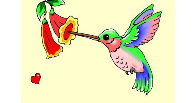 Drawing of Hummingbird by InessaC