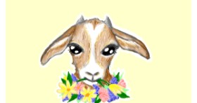 Drawing of Goat by Just_shin