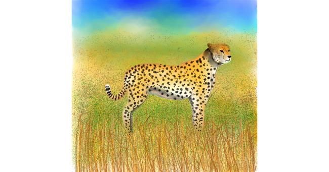 Drawing of Cheetah by 🇭🇰 Acem Lam