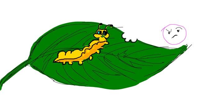 Drawing of Caterpillar by nuray