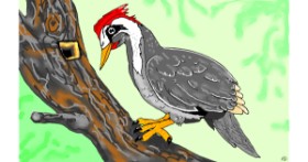 Drawing of Woodpecker by Flowerpot