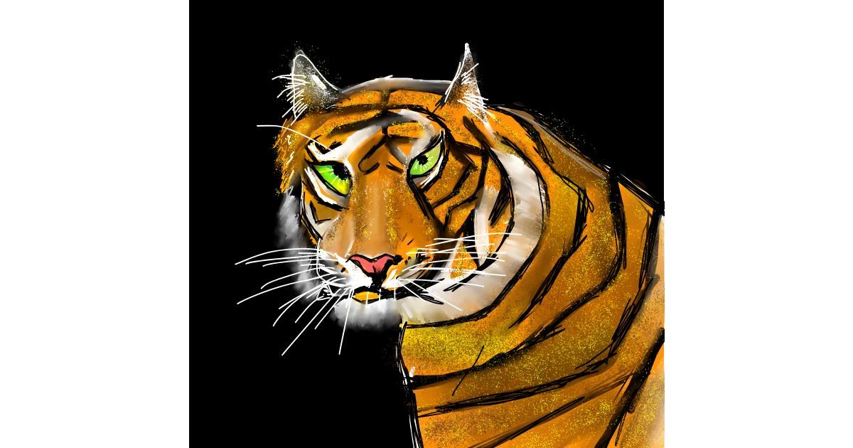 Drawing of Tiger by Rash