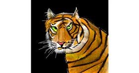 Drawing of Tiger by Rash