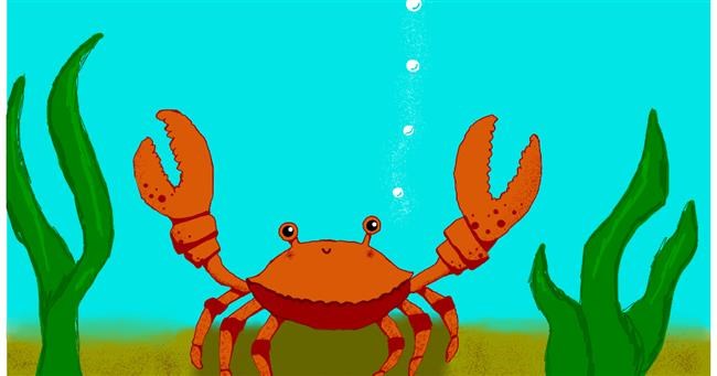 Drawing of Crab by Mirin