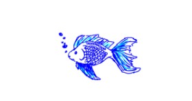 Drawing of Fish by Anonymous