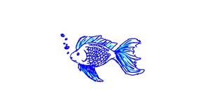 Drawing of Fish by Anonymous