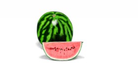 Drawing of Watermelon by Çhåching