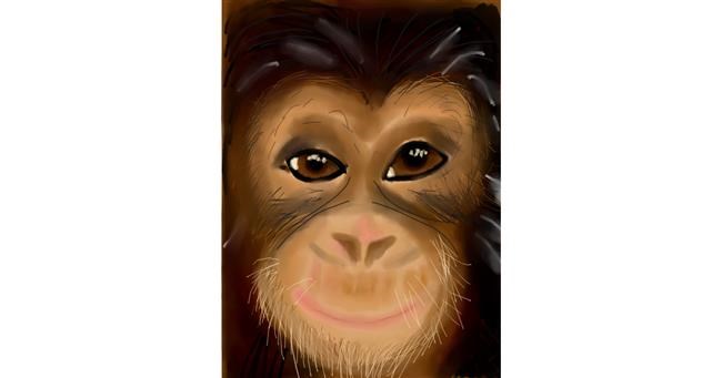 Drawing of Monkey by Moby 