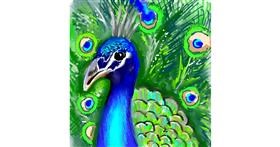 Drawing of Peacock by Vinci