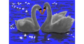 Drawing of Swan by Kaddy