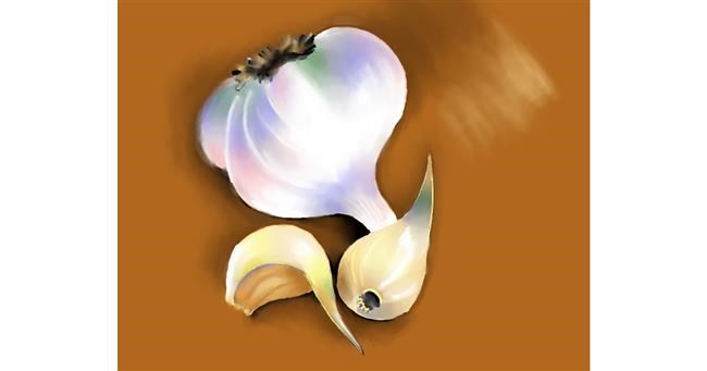 Drawing of Garlic by Cec