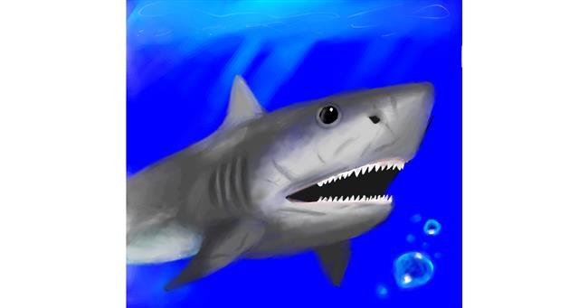 Drawing of Shark by MiRaCuLoUs🐞
