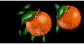 Drawing of Orange by Eclat de Lune