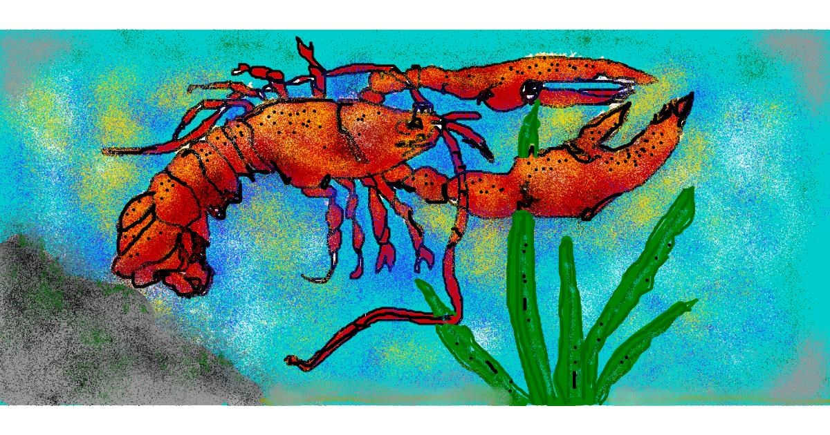 Drawing of Lobster by Kira