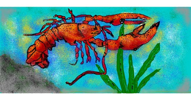 Drawing of Lobster by Kira