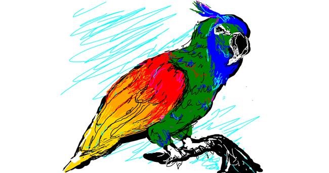 Drawing of Parrot by Paranoia