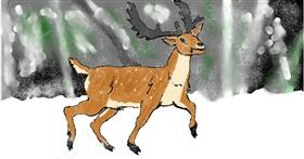 Drawing of Deer by Andy