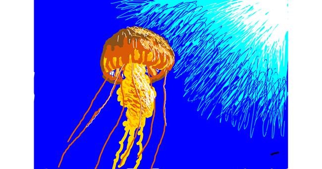 Drawing of Jellyfish by The536