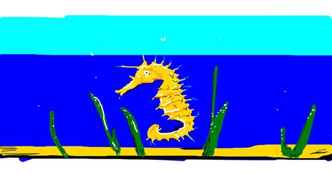 Drawing of Seahorse by han