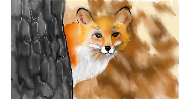 Drawing of Fox by Tim