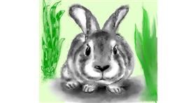 Drawing of Rabbit by Purple Beaver