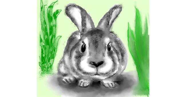 Drawing of Rabbit by Dexl