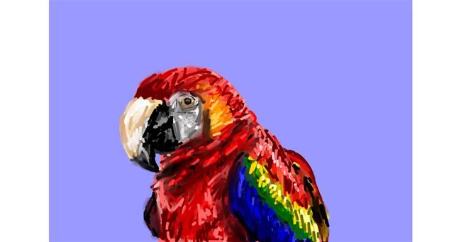 Drawing of Parrot by Mia
