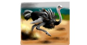Drawing of Ostrich by Яandi