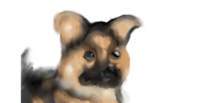 Drawing of Dog by tamaki