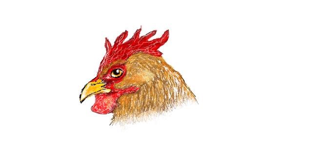 Drawing of Rooster by hahah