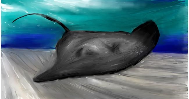 Drawing of Stingray by Mia