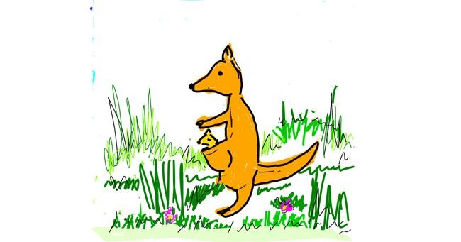 Drawing of Kangaroo by Lsk