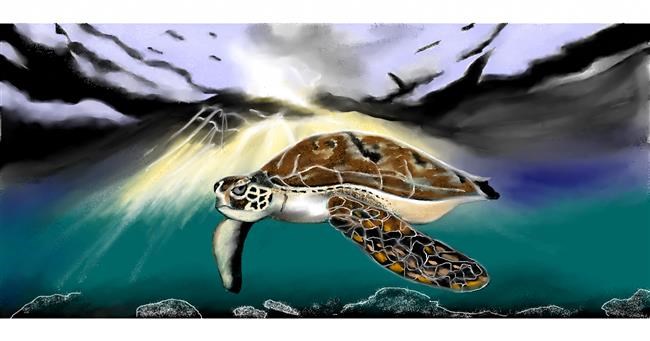 Drawing of Sea turtle by Chaching