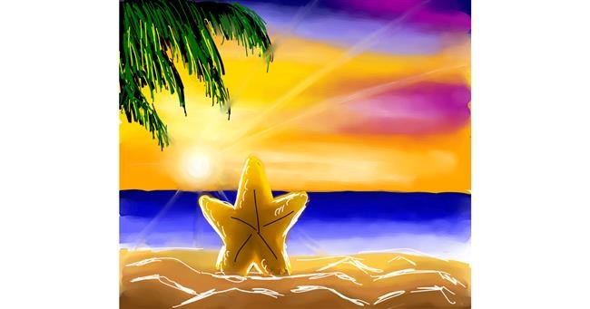 Drawing of Starfish by Joze