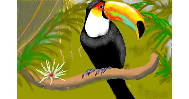 Drawing of Toucan by SAM AKA MARGARET 🙄