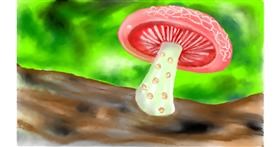 Drawing of Mushroom by Tim