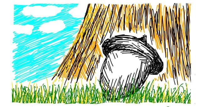 Drawing of Acorn by Tiger