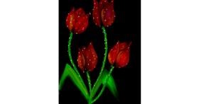 Drawing of Tulips by Lahari