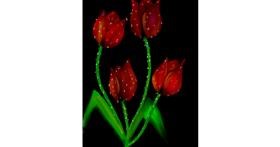 Drawing of Tulips by Kiara