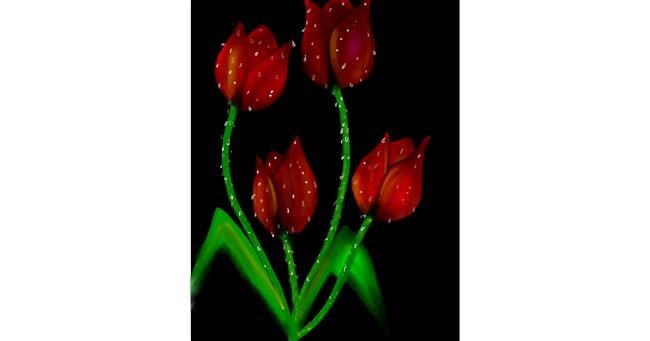 Tulpen-Zeichnung von Kiara