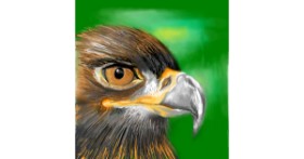 Drawing of Eagle by ⋆su⋆vinci彡